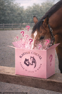 Mysterybox Pferd – Personalisierte Überraschungsbox für dein Pferd 🐴✨
