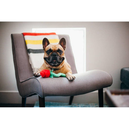 Welpenliebe Rovers Rosen