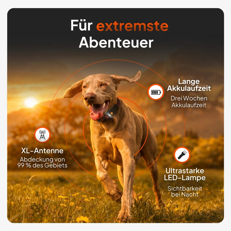 Weenect XT - GPS Tracker für Hunde - Kaster Cheval