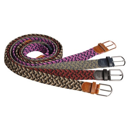 Harry's Horse Gurtel Elastic Alex