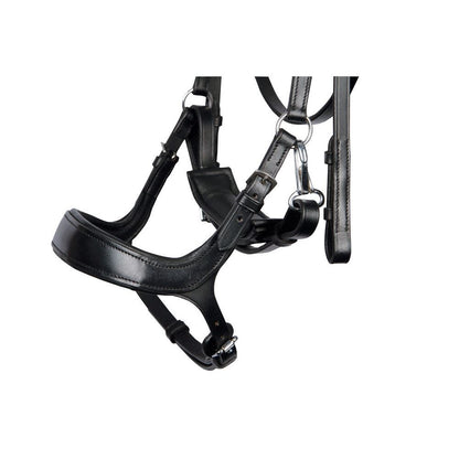 Dark Slate Gray Trense Anatomic Release