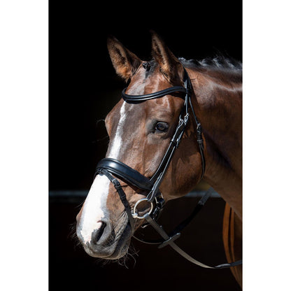 Black Trense MM Foramen Free