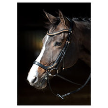 Black Harry's Horse Trense Anatomic Rosegold
