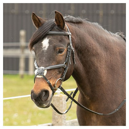 Harry's Horse Mexikanische Trense