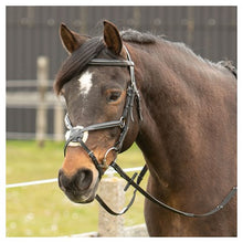 Harry's Horse Mexikanische Trense