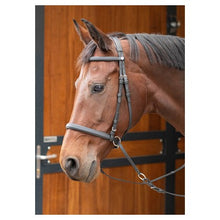 Harry's Horse Trense Gebisslos Easy Care
