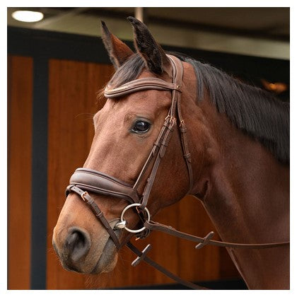 Harry's Horse Trense Soft Bombastic