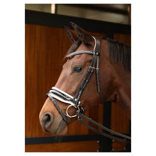 Harry's Horse Trense Chique