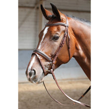 Rosy Brown Trense Soft