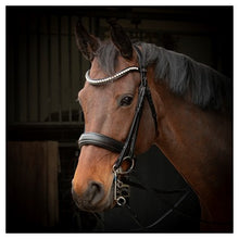 Harry's Horse Trense S&T Soft Crystal