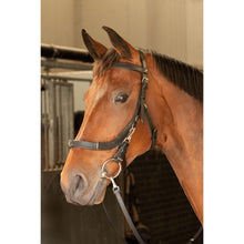 Rosy Brown Kappzaum Trense Leder Anatomic