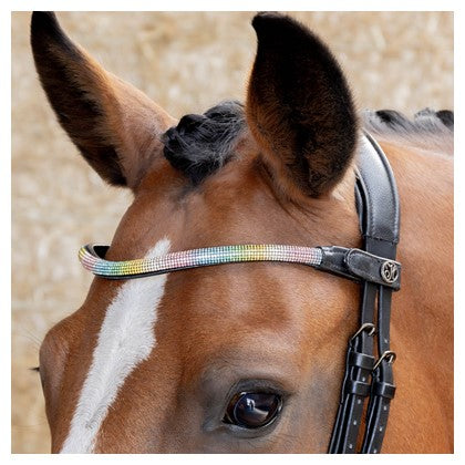 Harry's Horse Stirnriemen Rainbow