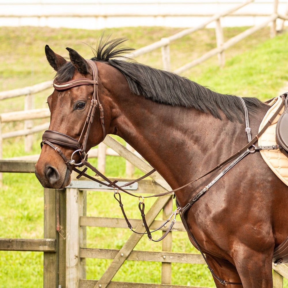 Harry's Horse Vorderzeug Rosegold