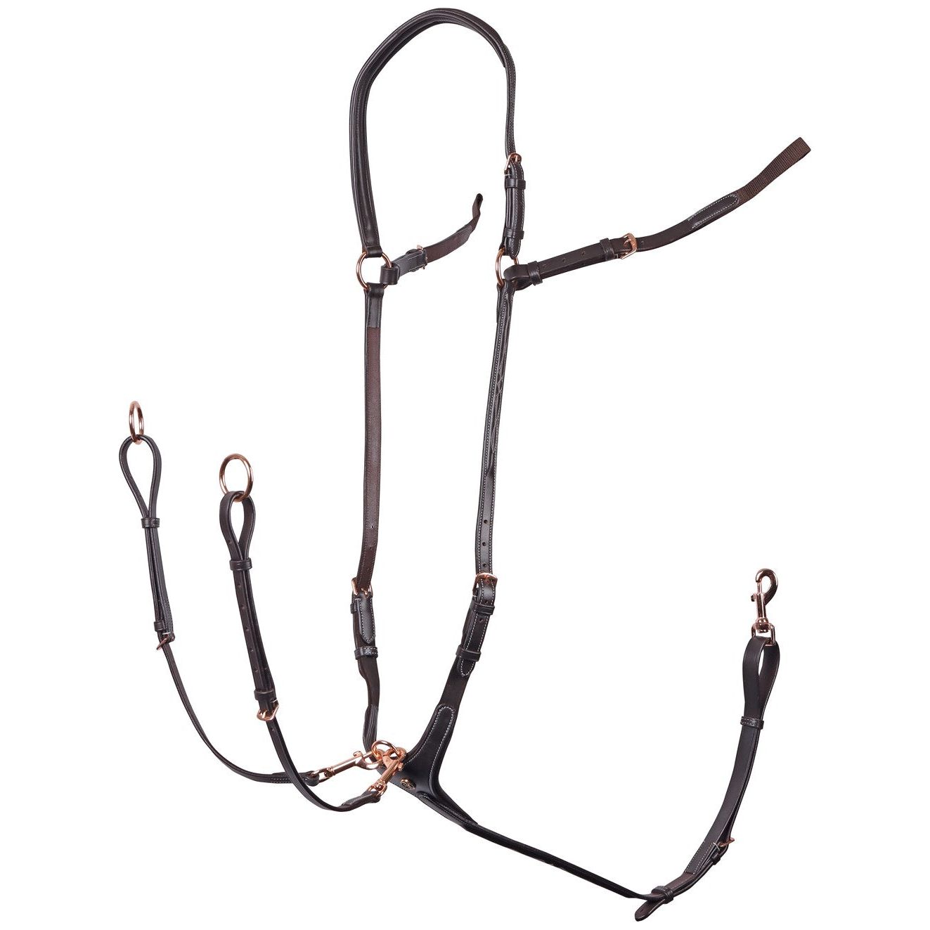 Harry's Horse Vorderzeug Rosegold
