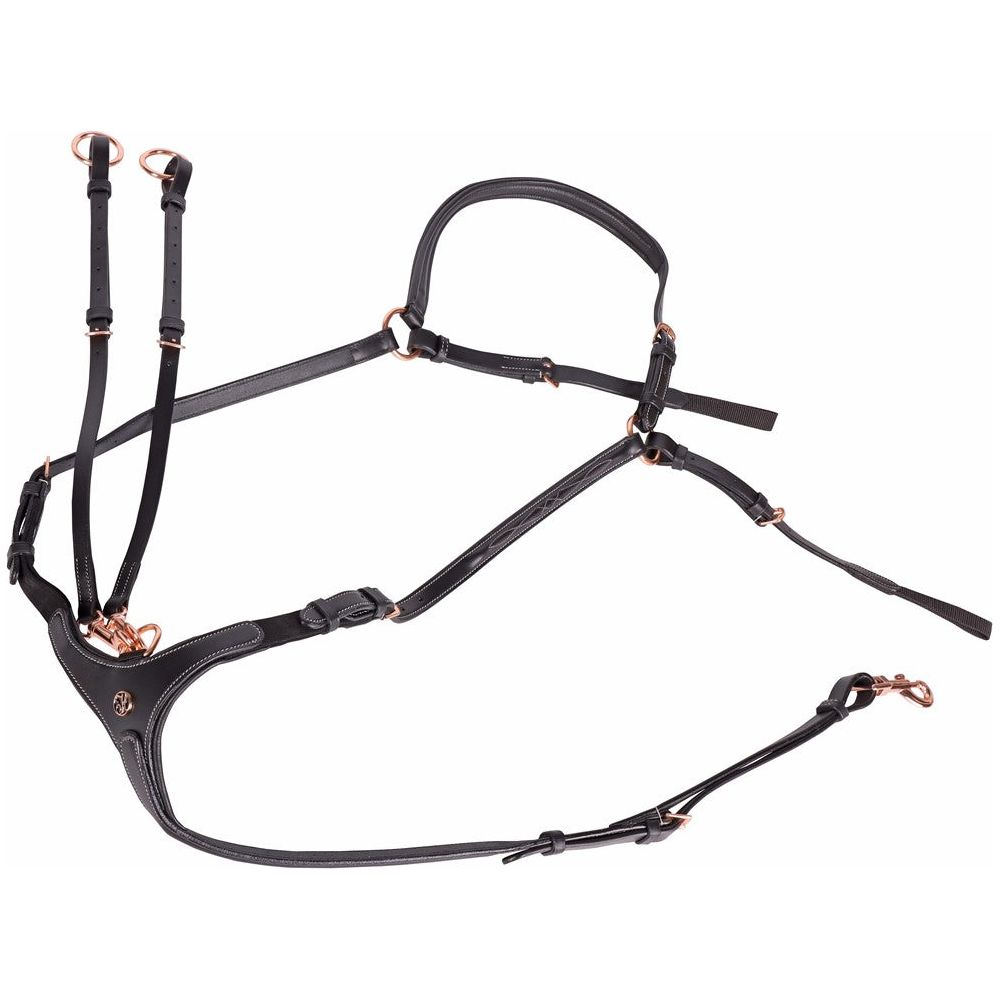 Harry's Horse Vorderzeug Rosegold