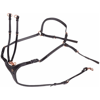 Harry's Horse Vorderzeug Rosegold