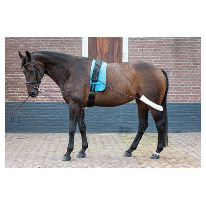 Harry's Horse Longierausbindezügel