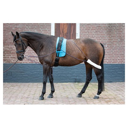 Harry's Horse Longierausbindezügel