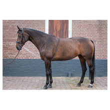 Harry's Horse Hilfslonge Soft