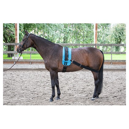 Harry's Horse Longier Gurt elastisch