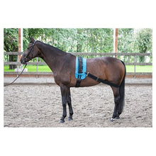 Harry's Horse Longier Gurt elastisch