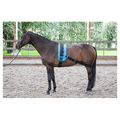 Harry's Horse Longier Gurt elastisch