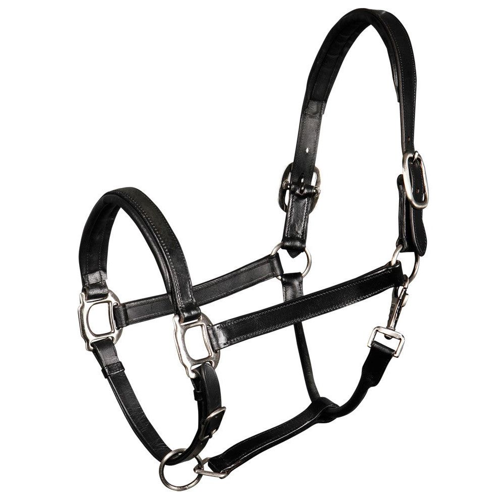 Black Lederhalfter Gepolstert