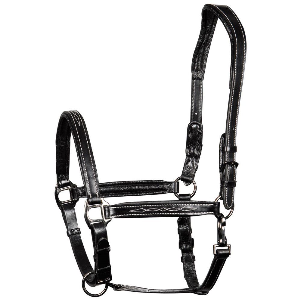 Black Lederhalfter Supreme