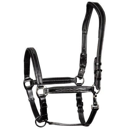 Black Lederhalfter Supreme