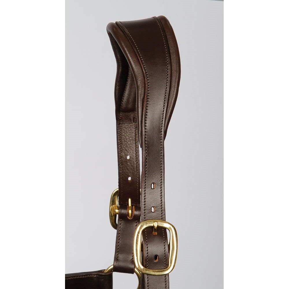 Light Gray Lederhalfter Anatomic