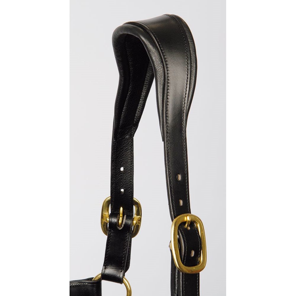 Black Lederhalfter Anatomic