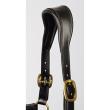 Black Lederhalfter Anatomic