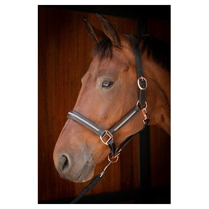 Black Harry's Horse Lederhalfter Metallic