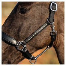 Harry's Horse Lederhalfter Anatomic Crystal
