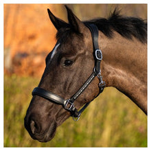 Harry's Horse Lederhalfter Anatomic Crystal