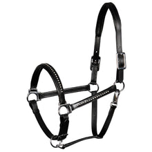 Black Lederhalfter Finesse Crystal