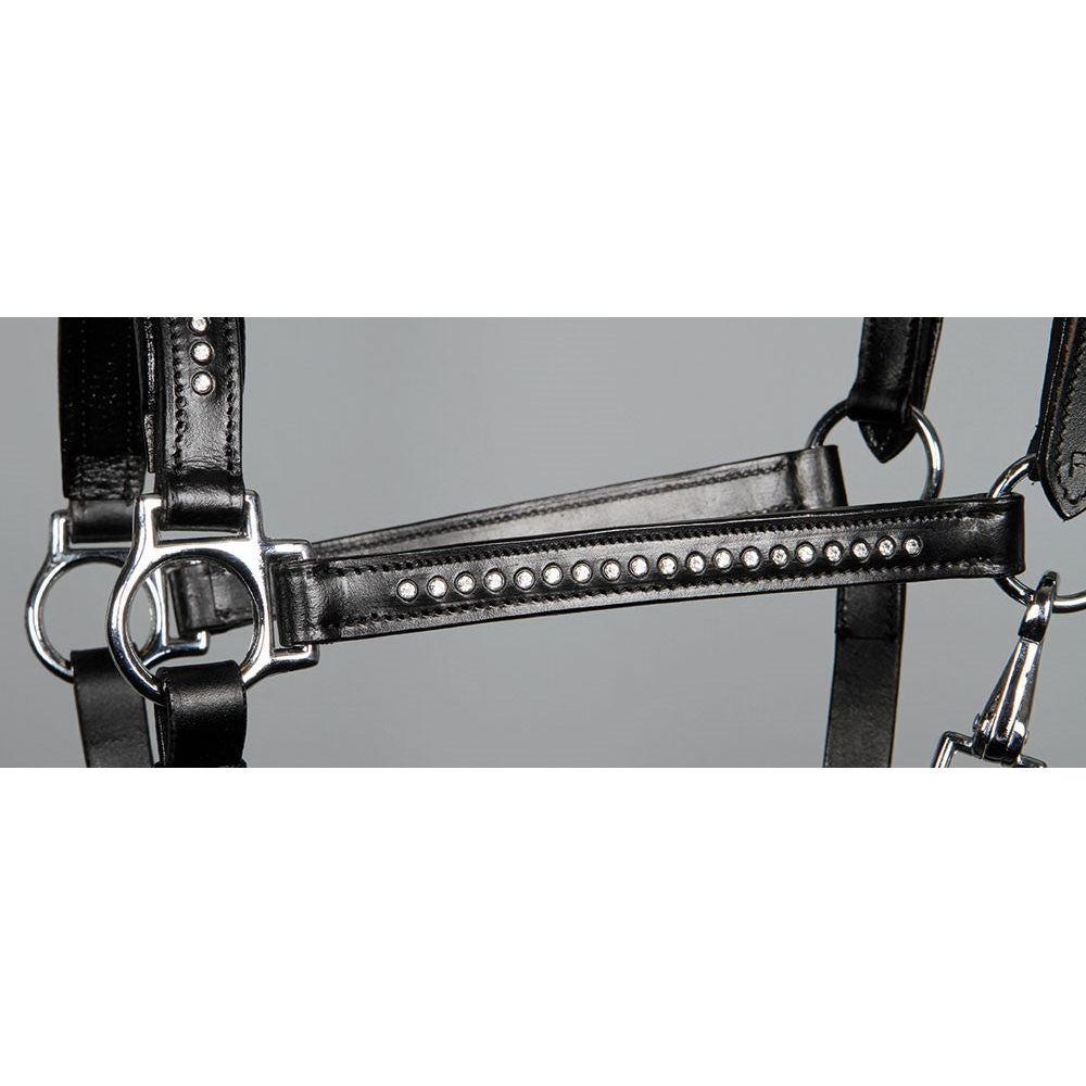 Dark Gray Lederhalfter Finesse Crystal