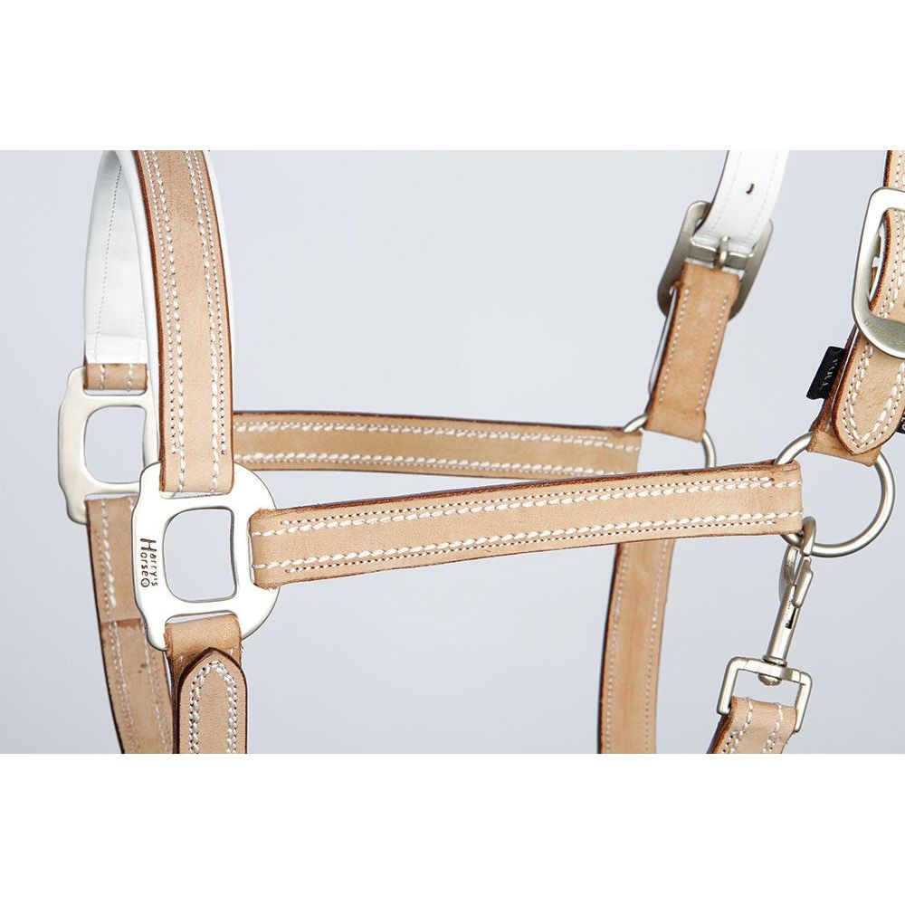 Light Gray Lederhalfter Cremello