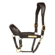Harry's Horse Lederhalfter Anatomic II
