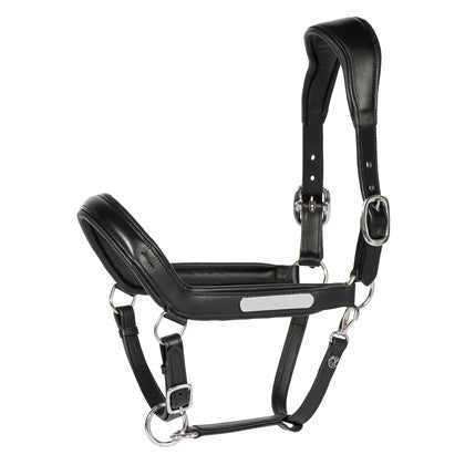 Harry's Horse Lederhalfter Anatomic II
