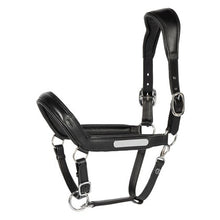 Harry's Horse Lederhalfter Anatomic II
