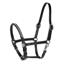 Harry's Horse Lederhalfter Pony/Fohlen Crystal