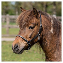 Harry's Horse Lederhalfter Pony/Fohlen Crystal