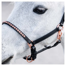 Harry's Horse Lederhalfter Pony/Fohlen Crystal Rosegold