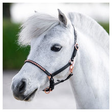 Harry's Horse Lederhalfter Pony/Fohlen Crystal Rosegold