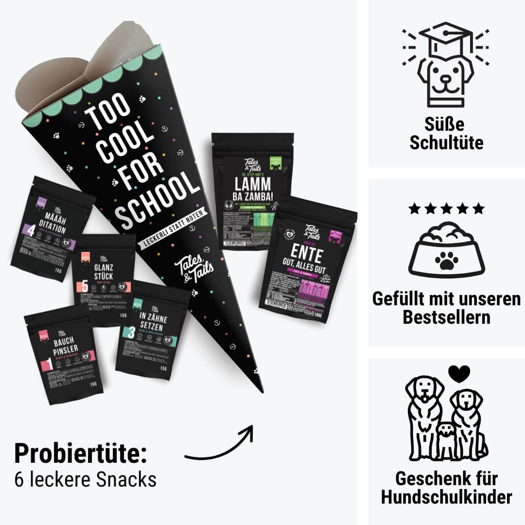 Tales & Tails Hundeschultüte