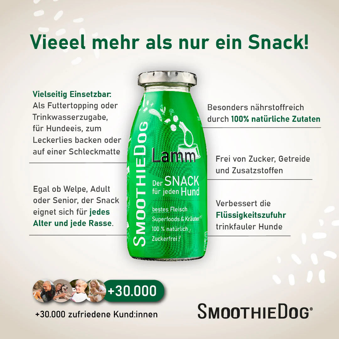 Hundesmoothie Lamm