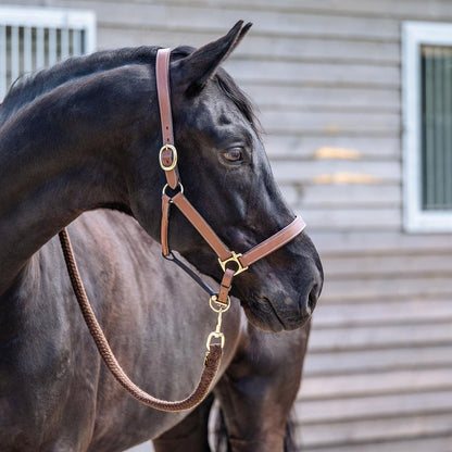 Dark Gray EQUEST® Lederhalfter Inscribe