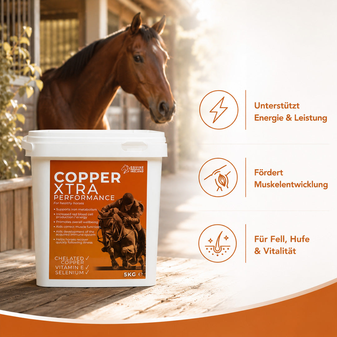 Equine Products Ireland Copper Xtra Performance