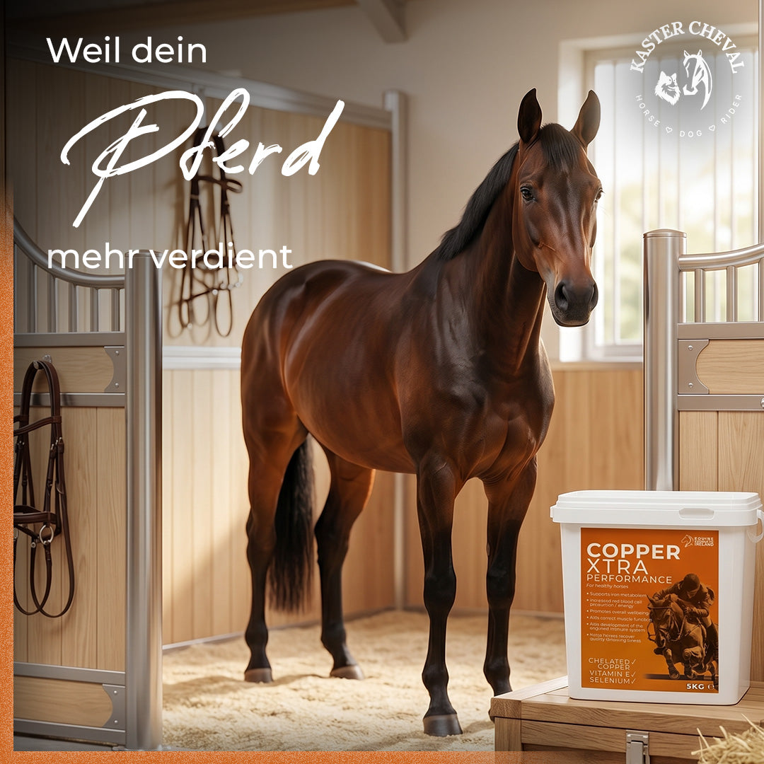 Equine Products Ireland Copper Xtra Performance